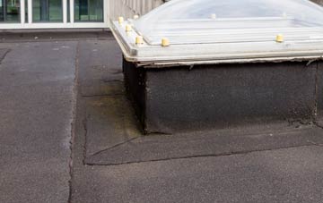 disadvantages of Van flat roofs