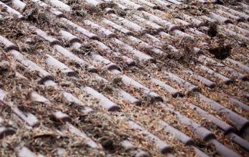 Van roof cleaning companies