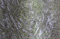 Van fibreglass roof work